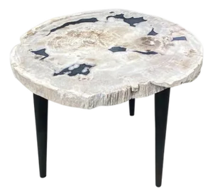 Andrianna Shamaris Petrified Wood Slab Table with Steel Base