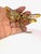 Antique Plique-À-Jour Dragonfly Brooch With Gold and Gemstones For Sale In Los Angeles - Image 6 of 15