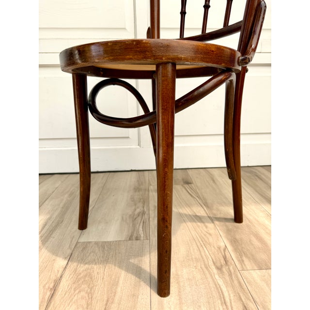Antique Vienna Secession Bentwood Chair Attributed to Mundus With Floral Art Nouveau Seat For Sale - Image 13 of 16