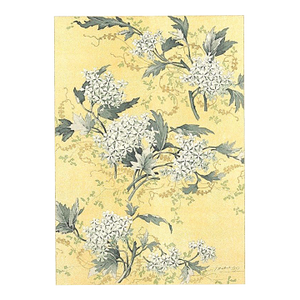 C1900 French Art Nouveau Botancial Design Chromolithograph-Snowball Blossom by Habert Dys