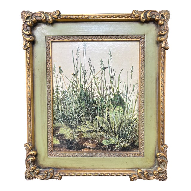 Vintage Framed Botanical Print After Albrecht Dürer – “Grass” For Sale