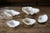 Set of 5 Large Natural Nautical Seashells | Coastal Beach House Decor | Organic Sculptural Display For Sale - Image 11 of 18