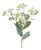 Euphorbia Floral Stem (Set of 6) For Sale
