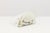 Mid-Century Modern 1960s Handcrafted Leucos Italian Milky White 1960s Sconces - a Pair For Sale - Image 3 of 7