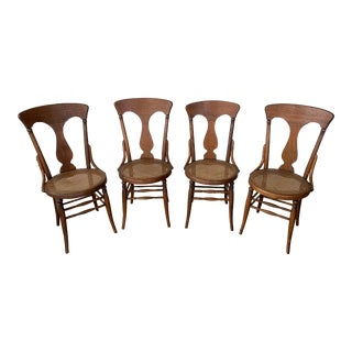 1940’s Bentwood, Oak Fiddleback/Cane Seat Chairs - Set of 4 For Sale
