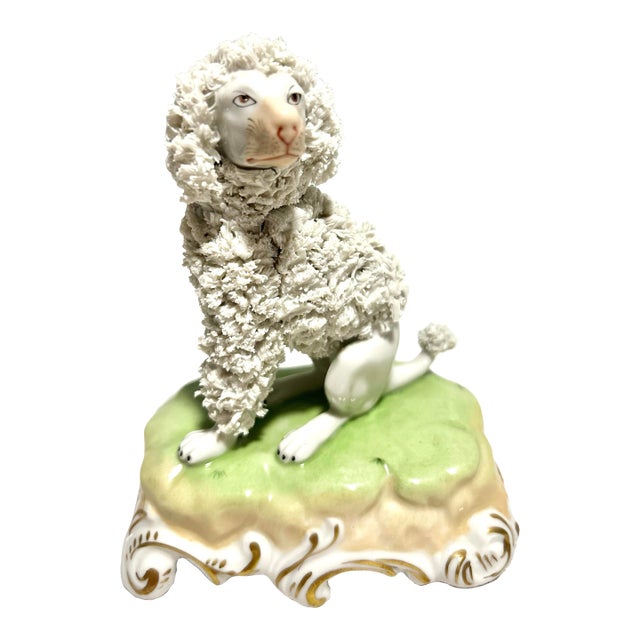 MCM Dresden Germany Porcelain Poodle With Applied Floral Encrustation For Sale