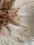 African African Juju Feather Headdress, 19 In. Diameter, White and Brown For Sale - Image 3 of 6