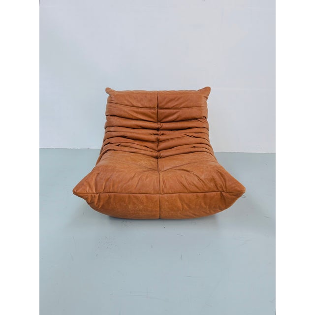 Vintage Togo Lounge Chair in Cognac Leather by Michel Ducaroy for Ligne Roset For Sale - Image 7 of 11