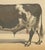 Olivier De Penne, Durham Shorthorn Bull, British Cattle, 1863, Chromolithograph For Sale - Image 6 of 9