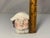 Antique Staffordshire Head Penny Bank: 19th Century Porcelain Coin Bank For Sale - Image 9 of 10