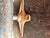 Wood Antique Chas. Parker Adjustable Piano Chair With Glass Ball Claw Feet For Sale - Image 7 of 8