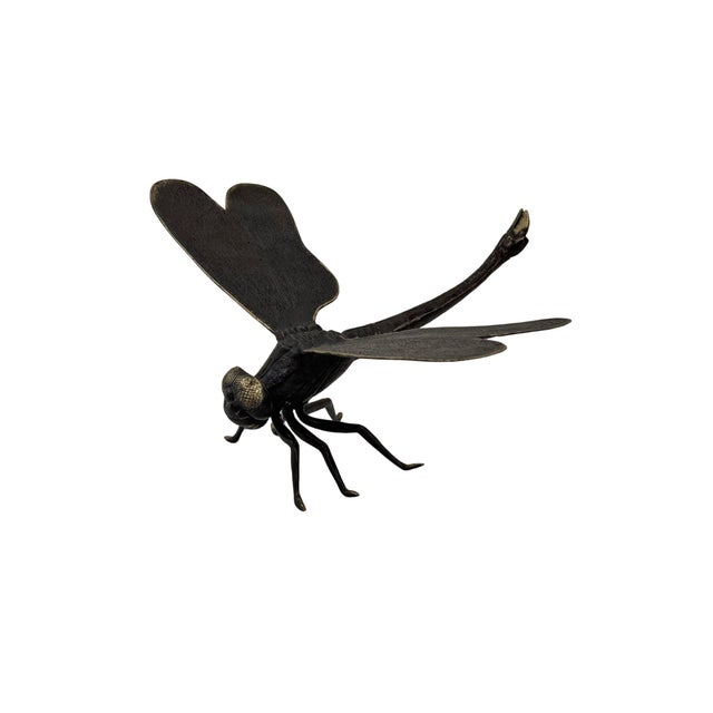 Figurative Cast Bronze Dragonfly Sculpture — Sculptural Natural Form With Dark Patina For Sale - Image 3 of 6