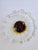 Mid-Century Glass Ulpukka Serving Dish Glass Bowl from Humppila, Finland, 1960s For Sale - Image 8 of 13