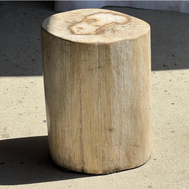 Oval White Petrified Wood Side Table, 1980s For Sale - Image 17 of 18