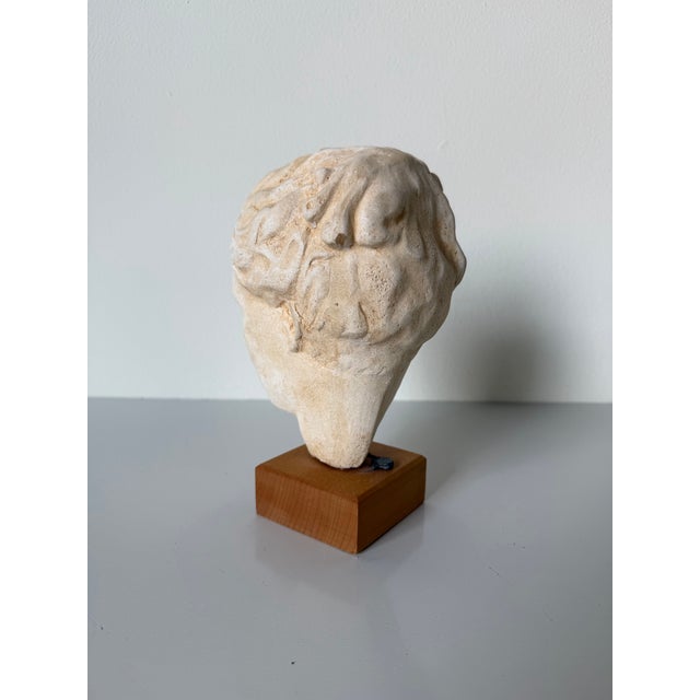 Vintage Handcrafted Hygieia Greek Goddess Plaster Bust Sculpture on Wood Base For Sale - Image 11 of 12