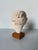 Vintage Handcrafted Hygieia Greek Goddess Plaster Bust Sculpture on Wood Base For Sale - Image 11 of 12