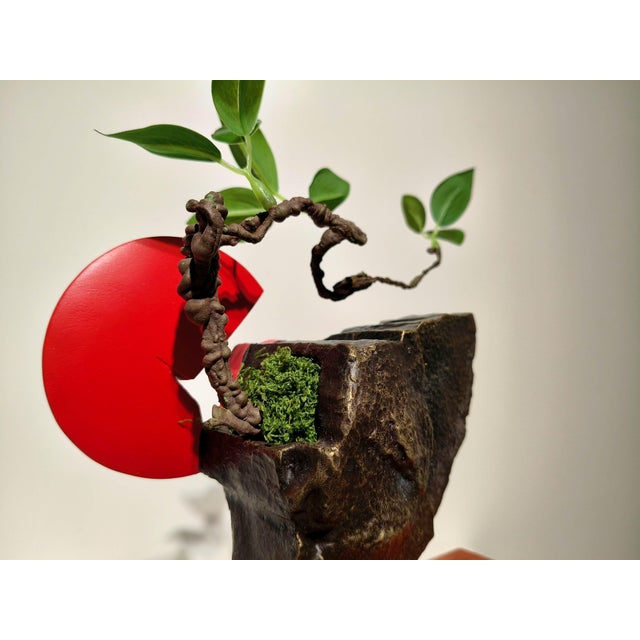 Sunrise — Neo-Chuanpai Bonsai Series For Sale - Image 4 of 6