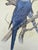 Mid-Century Modern 1988 Eric Peake Spix's Macaw Signed Limited Edition Print For Sale - Image 4 of 9