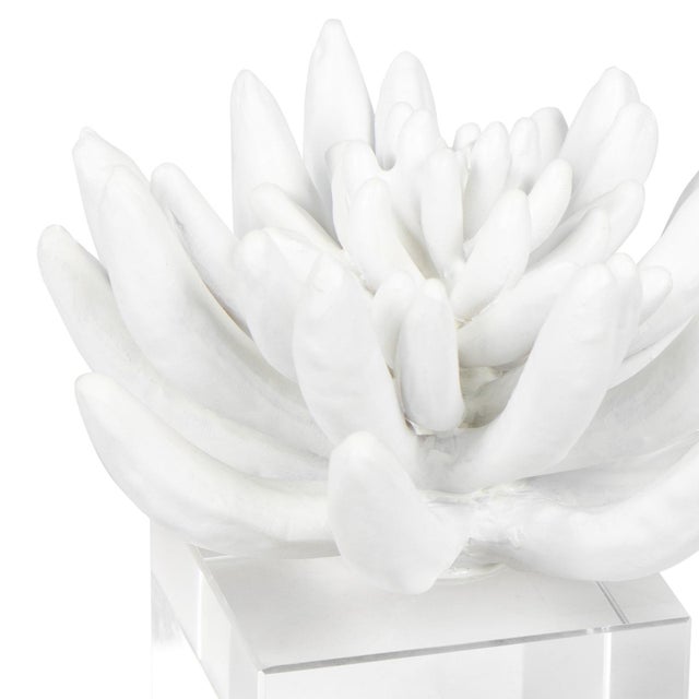 2020s Regina Andrew Succulent Resin Sculpture 2 For Sale - Image 5 of 6