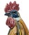 German Majolica Figural Rooster by Riedel Von Riedelstein, Dallwitz, Ca. 1885 For Sale - Image 9 of 13
