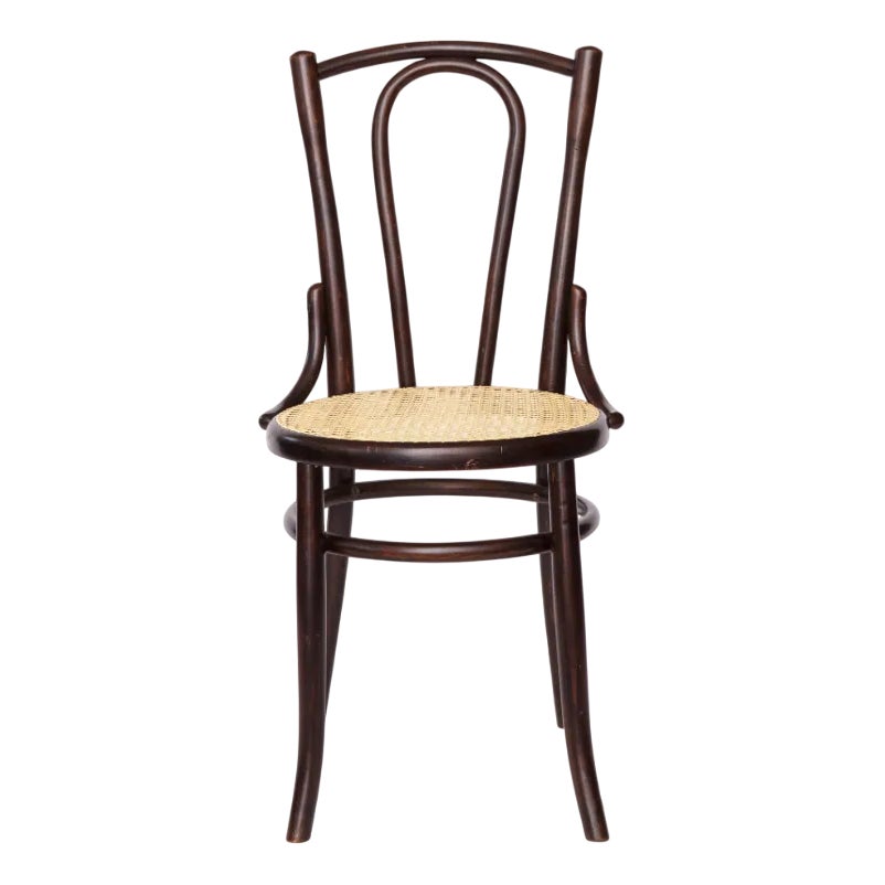 Early 20th Century Bentwood Chair with Beechwood Frame & New Cane