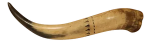 19th Century English Scrimshaw Steer Horn With Black Armorial Crest Engraving