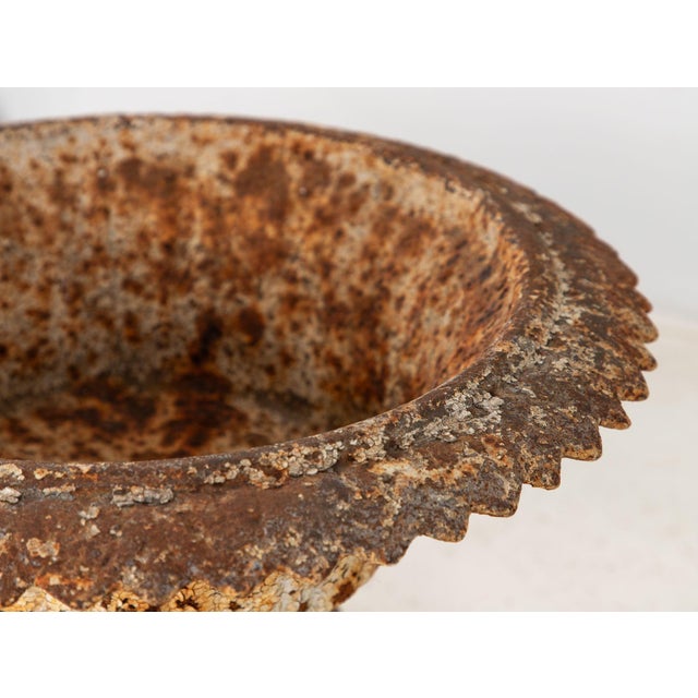 Antique Cast Iron Urn English Classically Styled Planter, Victorian 19th Century For Sale - Image 4 of 9