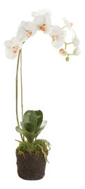 Example of Minimalism Faux Floral Arrangements