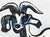 Modernist Goat Portrait in Black and Blue by Karen Druker For Sale In Monterey, CA - Image 6 of 7