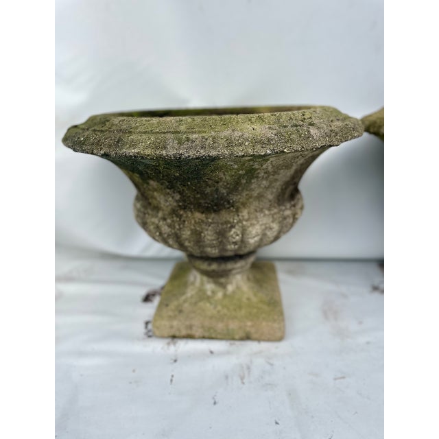 Vintage 1950s Concrete Pots with Beautiful Patina • Era: Authentic 1950s design • Material: Durable concrete with a...