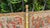 Sicilian Carved Wrought Iron Cart, 18th-19th Century, Set of 4 For Sale - Image 5 of 18