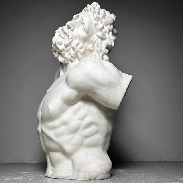 Mid-Century Modern Plaster Bust of Laocoön, 1960s For Sale - Image 3 of 18