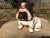 This fantastic find of a vintage, made in USA ceramic Bulldog is believed to be from the 1960’s. The photo shows “H29” and...