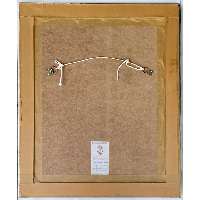 Abraham Munting Framed Prints Set of Two, Botanical For Sale In New York - Image 6 of 7