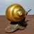 Metal Vintage Gilt Bronze Snail Sculpture / Paperweight For Sale - Image 7 of 9