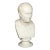Italian Grand Tour Antique Marble Bust of Marcus Cicero, 19th Century For Sale
