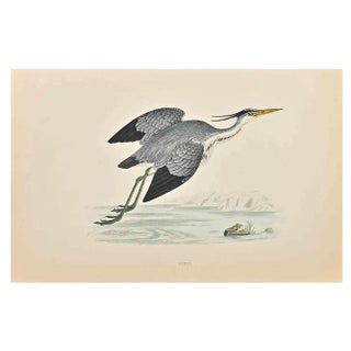 Alexander Francis Lydon, Heron, Woodcut Print, 1870 For Sale