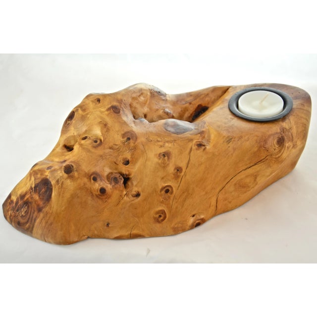 Natural Burl Knot Maple Candle Holder For Sale In Chicago - Image 6 of 6