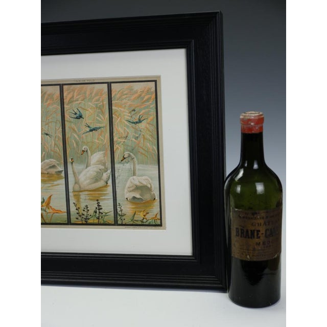 Emrik & Binger, The Avian Collection, 1880, Chromolithograph For Sale - Image 3 of 13