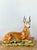 Late 20th Century Vintage Boho Italian Glazed Ceramic Young Buck For Sale - Image 5 of 9