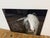 Terry Kirkland Cook Bombshell a Gypsy Vanner Acrylic Print For Sale In San Francisco - Image 6 of 12