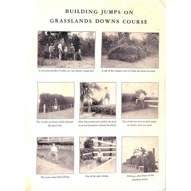 "The Grasslands International Steeplechase" 1931 Gourlay, John For Sale - Image 16 of 18
