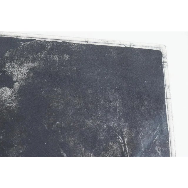 Ernst Fuchs, Forest Idyll in Front of the Sky Wall, 1974, Artist's Proof For Sale - Image 9 of 17