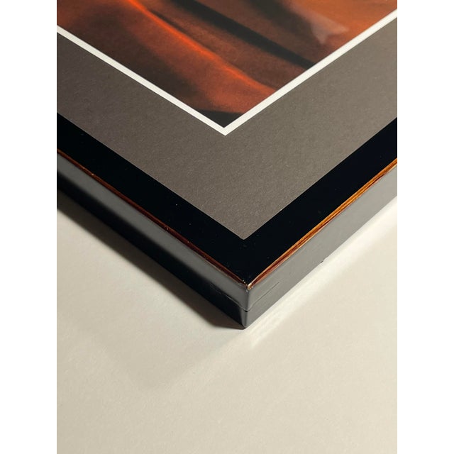 2015 Limited Edition Print by British-Egyptian Photographer Laura El-Tantawy With Coa For Sale - Image 4 of 6