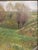 Hans Richard Volkmann, Weidenplan, 1896, Oil Painting on Canvas For Sale - Image 12 of 13