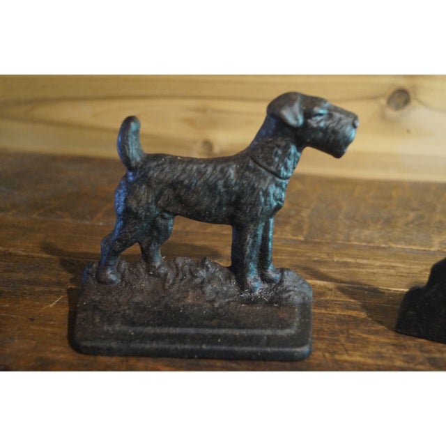 A very old and rare pair of bookends which feature Airedale Terriers in a heavy cast metal. These bookends come from the...