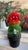 Classic Movie Memorabilia Animated Audrey Plant For Sale - Image 4 of 15