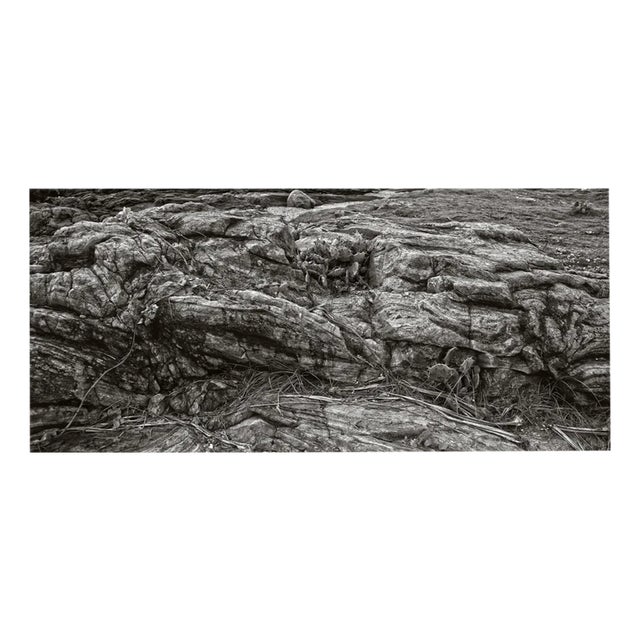 Stuart Möller, Unforgiven, 2011, Archival Pigment Print For Sale