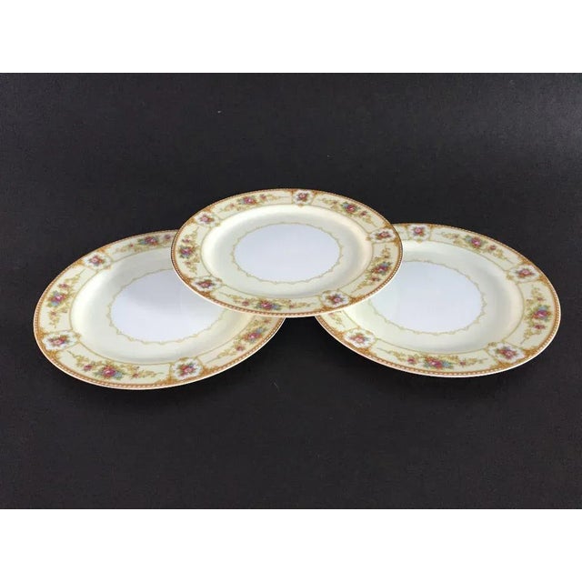 Traditional Vintage Floral Dinner Plates - Set of 3 For Sale - Image 3 of 6