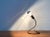 German Minimalist Lightworm Table Lamp by Walter Schnepel for Tecnolumen For Sale - Image 4 of 18